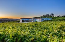 Guided tour of Bodegas Granbazán