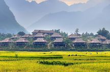 7 Days in Vietnam:The Best of North and South(Deluxe Small Group)