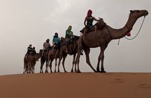 Shared Group Luxury 2-Days Desert Trip from Fes to fes