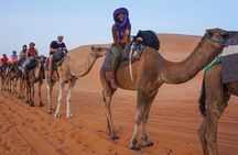 Shared Group Luxury 2-Days Desert Trip from Fes to fes