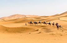 Shared Group Luxury 2-Days Desert Trip from Fes to fes