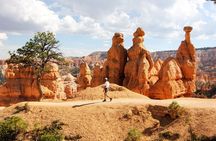 Bryce Canyon & Zion National Parks from Vegas, Lunch, Free WiFi