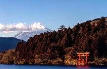 Private Hakone Tour - View of Mt. Fuji, Nature and Culture