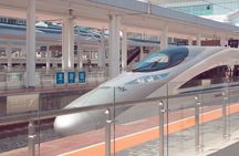 Private Hakone Tour - View of Mt. Fuji, Nature and Culture