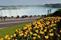 Day-Trip from Toronto to Niagara Falls with skip-the-line boat