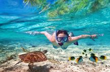 Koh Madsum (Pig island) and Koh Tan Day Tour from Koh Samui