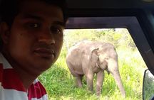 Rangiri Jeep Safari Sigiriya Lion Rock & Evening Jeep Safari