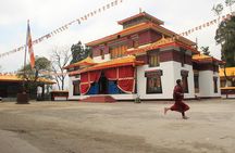 Eastern Himalaya (Darjeeling, Pelling, Gangtok & Kalimpong) 