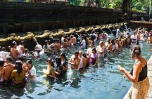 Bali Ubud and Volcano Day Tours