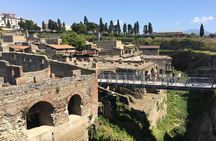 Herculaneum Private Walking Guided Tour 2 hours