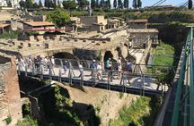 Herculaneum Private Walking Guided Tour 2 hours