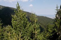Private Vitosha Mountains Hiking with Black peak & Dragalevtsi Monastery