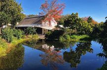 Wine Tasting, Cape Dutch Farm and Art Day Tour from Cape Town