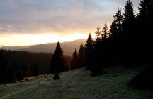 Private Buggy Experience All Seasons in Pamporovo