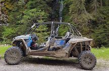 Private Buggy Experience All Seasons in Pamporovo