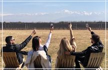 Private Transfer + Lujan de Cuyo Vinicolas / Maipu