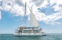 Giant Loop Cruise Mirissa