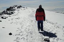 Unforgettable 8 Days Lemosho Route Trekking on Kilimanjaro