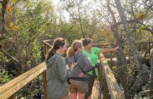 Air boat Ride and Nature Walk in Everglades National Park