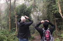 Day Trip to Chicaque National Park—from Bogota
