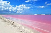 Paradisiacal tour: Las Coloradas Pink Lake and Rio Lagartos with Lunch included.