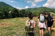 3 Days Trekking Tour to Mae Wang Jungle from Chiang Mai