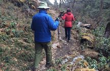 Guided Village walk with Stories in Dharamsala
