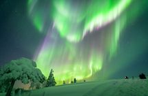Northern Lights Snowmobile Driving Safari in Kemi