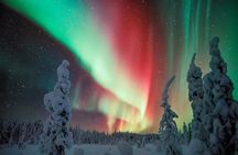 Auroras - Northern Lights Tours by Aurora Experts - Rovaniemi