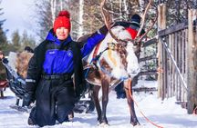 Snowmobile Safari to Reindeer Farm - Saariselkä