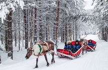 Snowmobile Safari to Reindeer Farm - Saariselkä