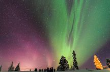 Private Aurora Tour by Lapland Welcome Aurora Experts for 1-4 persons