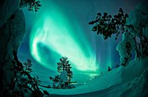 Northern Lights Snowmobile Driving Safari in Kemi