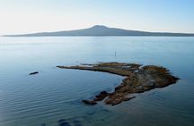 Auckland Coastal Experience - Small Group City & Beach Tour Incl. Wine Tasting