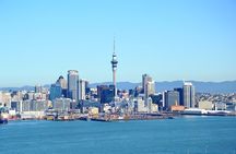 Auckland City & Native Forest Experience - Fully Guided Day Tour