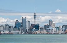 Auckland City & Native Forest Experience - Fully Guided Day Tour
