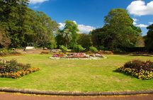 Auckland Coastal Experience - Small Group City & Beach Tour Incl. Wine Tasting