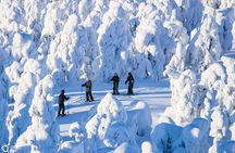 Cross-Country Skiing Trip