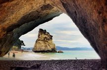 Coromandel Coastal Experience - Small Group Tour from Auckland