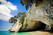 Coromandel Coastal Experience - Small Group Tour from Auckland