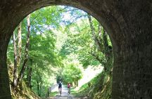 The Train Track Trail Mountain Bike Ride - Private experience