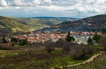 Vino Venture: Explore With A Local - Troodos Mountains thru Wine!