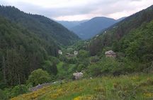 2 Hour Private Superb Buggy Adventure