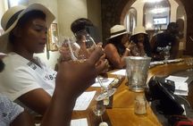 Private visit to Stellenbosch Franschoek Paarl from Cape Town F/d