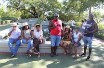 Private Visit Wineries Stellenbosch Paarl Franschoek From Cape Town F/D