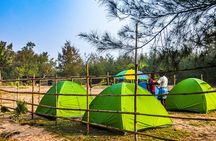 Experience Beach Camping 