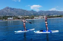 Marbella 3-hour Catamaran Group Excursion with Dolphin Watching