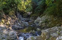 Minca, Waterfalls and Coffee Farm Tour from Santa Marta