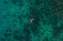 Rosario Islands Private Boat Tour