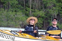 Kayak Sian Ka’an Biosphere Reserve Sunset Tour